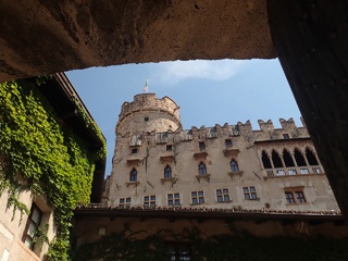 P8117019a.jpg